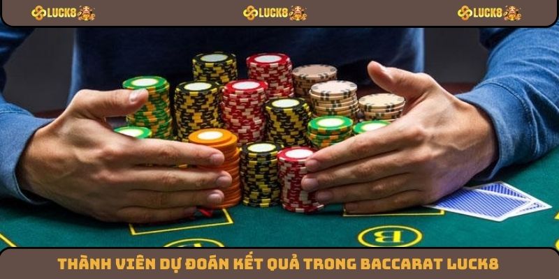 Thành viên dự đoán kết quả trong Baccarat Luck8