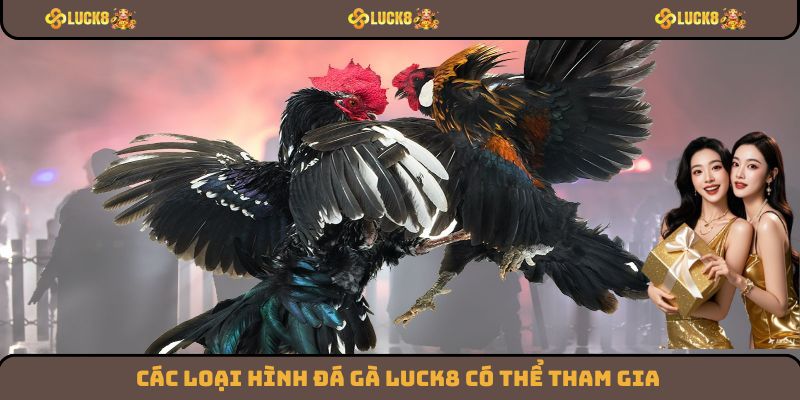 Các loại hình đá gà Luck8 có thể tham gia