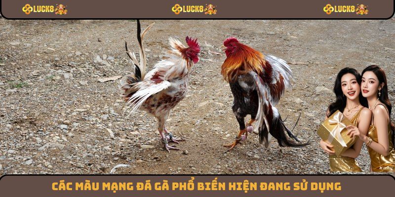 Các màu mạng đá gà phổ biến hiện đang sử dụng
