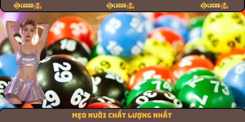 Mẹo nuôi chất lượng nhất