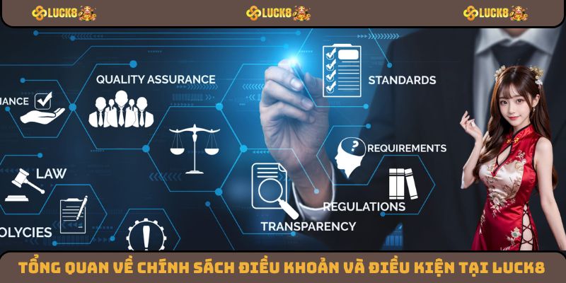 Một số thông tin cơ bản về chính sách điều khoản và điều kiện