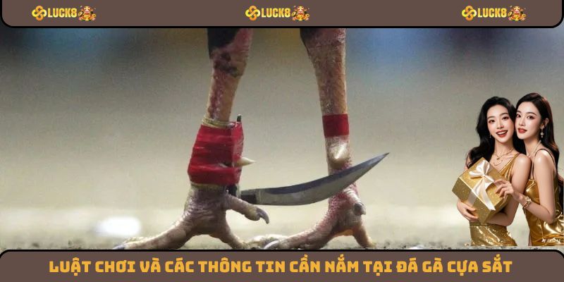 Luật chơi và các thông tin cần nắm tại đá gà cựa sắt