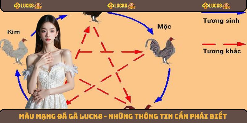Màu Mạng Đá Gà Luck8 - Những Thông Tin Cần Phải Biết