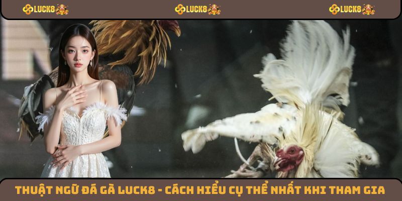 Thuật Ngữ Đá Gà Luck8 - Cách Hiểu Cụ Thể Nhất Khi Tham Gia